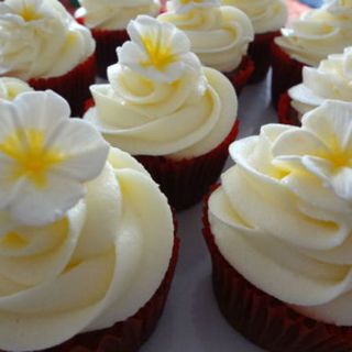 Standard Cupcakes