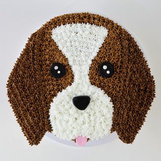 Spaniel Dog Cake