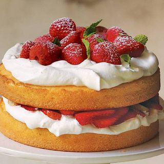 Sponge Cake