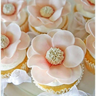 Daisy Dazzle Cupcakes