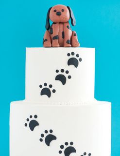 Dog & Paws Cake
