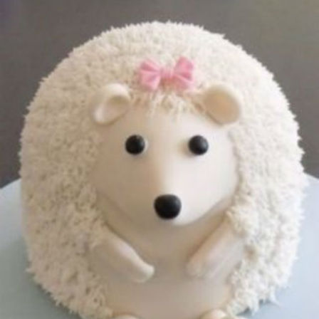 Hedgehog Cake   