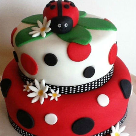 Ladybird Cake 