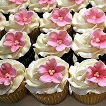 Mini  Cupcakes